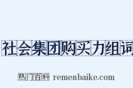社会集团购买力组词是什么意思的图片